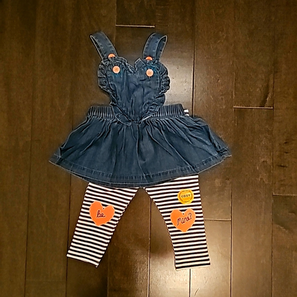 Baby girl outfit 3 -6 months BNWT